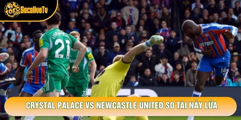Crystal Palace vs Newcastle United so tài nảy lửa Crystal Palace vs Newcastle United so tài nảy lửa