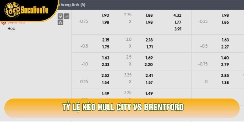 Tỷ lệ kèo Hull City vs Brentford