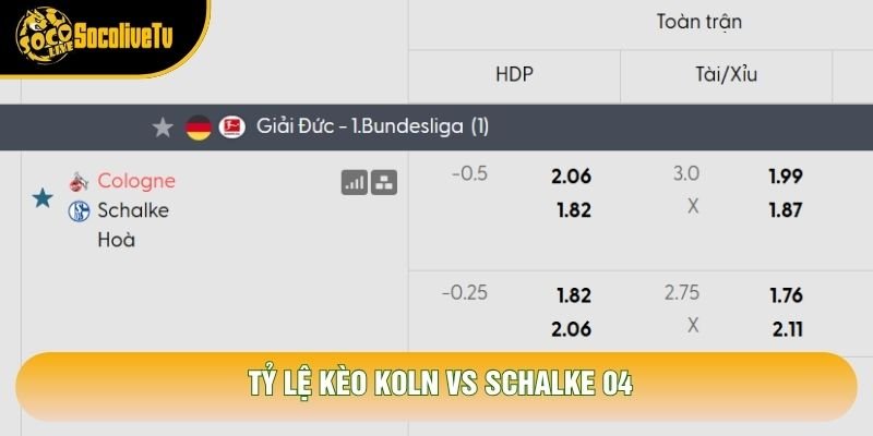 Tỷ lệ kèo Köln vs Schalke 04