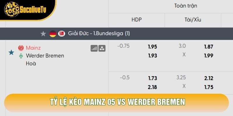 Tỷ lệ kèo Mainz 05 vs Werder Bremen